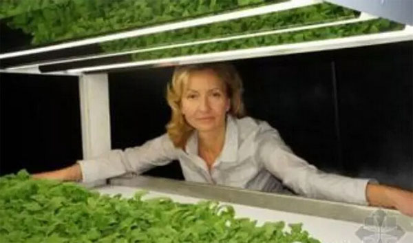 誰說創業一定得高科技,回家種菜也能發家致富 誰說創業一定得高科技,回家種菜也能發家致富