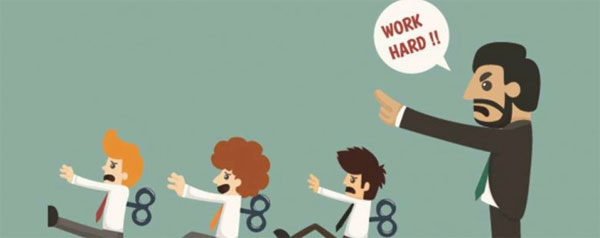 年底，員工對老板說的一句最傻的話是？