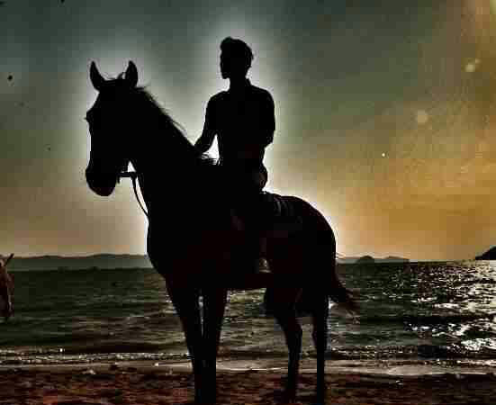 其實，哪里有真的白馬王子？