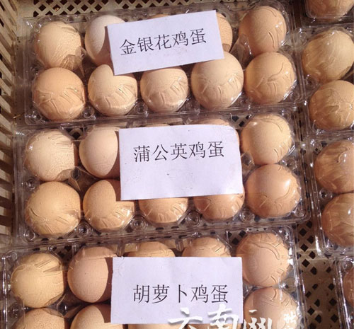 生態(tài)農(nóng)業(yè)新項(xiàng)目：讓雞吃中草藥市場(chǎng)非常青睞下的生態(tài)蛋