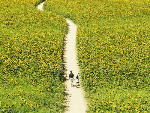 你的人生需要明白的 你的人生需要明白的