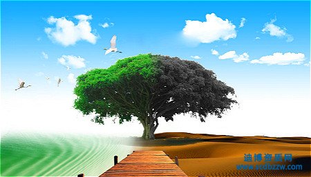 環保工程資質代辦如何準備資產？