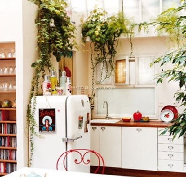 室內擺放什么植物好