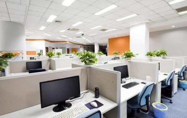 室內(nèi)裝飾植物 室內(nèi)裝飾植物