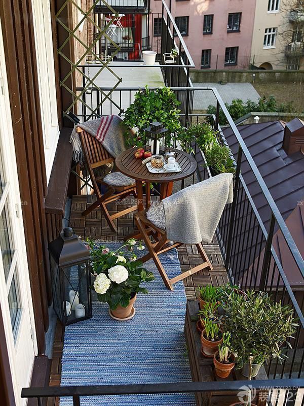 凈化空氣的室內植物