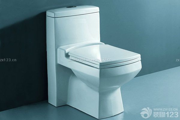 自己裝修房子省錢嗎——從馬桶中省錢