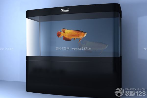 辦公室魚缸擺放位置