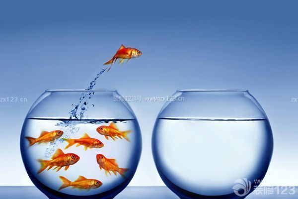 辦公室魚缸擺放位置